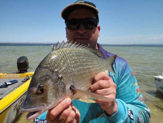 Big lizards dominate Basin Classic